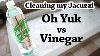 Cleaning Jacuzzi Tub With Me Oh Yuk Or Vinegar