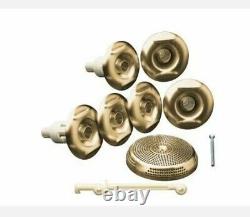 Kohler Flexjet K-9696-BV Vibrant Brushed Bronze Whirlpool Trim Kit withSix Jets