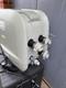 Lay-z-spa HydroJet hot tub pump heater unit Jacuzzi Maldives Hawaii Palma